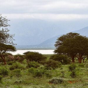 Lake Jipe and Surroundings