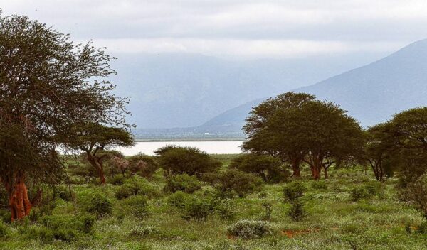 Lake Jipe and Surroundings